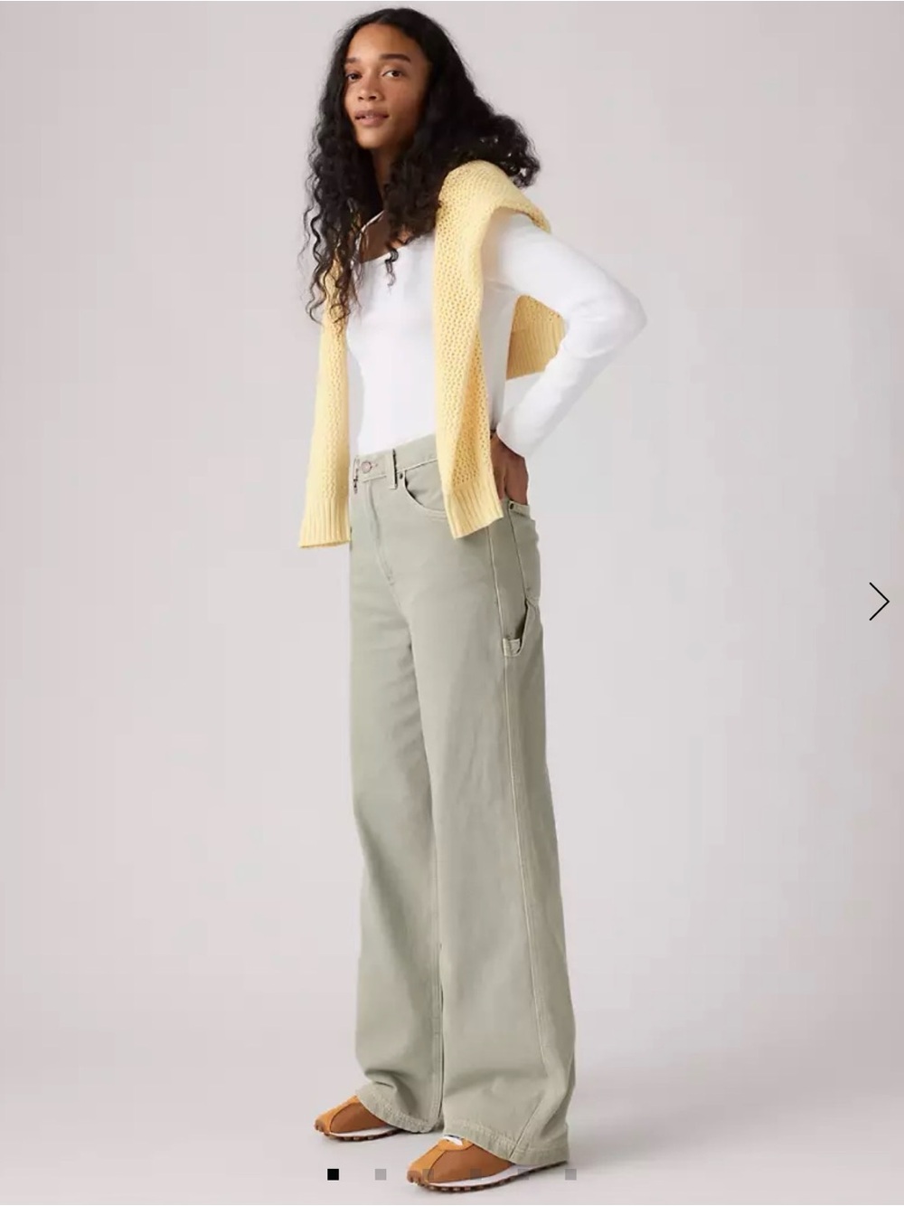 Levi's Cinch Waist Carpentar Jeans